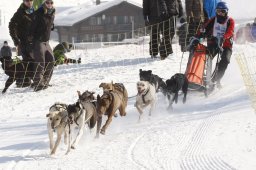 Lenk 2012 SM